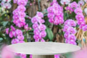 esvaziar mármore mesa topo com borrão orquídea jardim fundo para produtos exibição foto