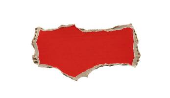 peça do vermelho cartão papel lágrima isolado em branco fundo foto