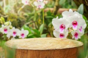 esvaziar velho árvore toco mesa topo com borrão orquídea jardim fundo para produtos exibição foto