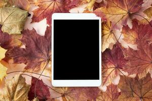 digital tábua em outono fundo. outono folhas, brincar foto