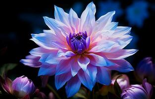 uma delicado borboleta com roxa e azul matizes poleiros em uma vibrante anêmona flor. ai generativo foto