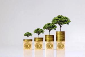ideias de negócios de criptomoeda e tecnologia futura. árvore em moeda e bloco de madeira com holograma de símbolo de bitcoin. foto