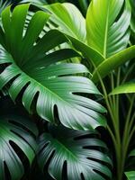exuberante tropical folhas dentro uma natural plantar configuração capturado de marca Roberto. ai gerado. foto