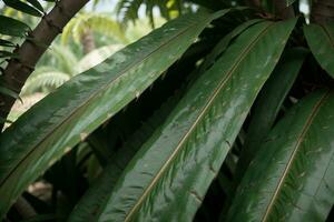 exuberante tropical beleza vibrante verde Palma folhas dentro fechar acima tomada. ai gerado. foto