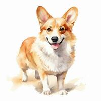 fofa corgi. aguarela ilustração do uma vermelho cachorro. grampo arte em branco fundo. generativo ai foto