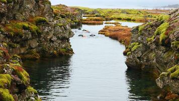 Viajantes fazendo inverno snorkeling dentro Coisavellir nacional parque perto reykjavik cidade, desfrutando ao ar livre atividade dentro escandinavo frio águas. pessoas natação dentro rio, nórdico panorama. portátil tomada. foto