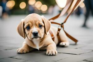 realista cachorro procriar imagens. cativante fotos do popular cachorros para oferta. ai generativo