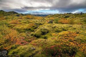 bela paisagem da Islândia, paisagem da natureza islandesa. foto