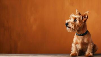 a fofura do cachorros este vai faço eles regra a mundo, ai gerado foto