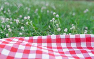 textura de toalha de mesa quadriculada vermelha com grama verde no jardim foto