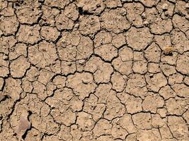 seco rachado terra textura. global aquecimento foto
