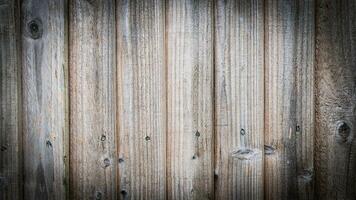 natural madeira grão textura fundo foto