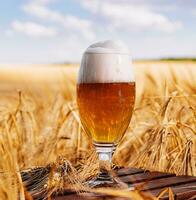 uma vidro do Cerveja dentro uma trigo campo foto