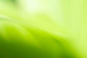gradiente natureza Visão do verde folha em borrado vegetação fundo dentro jardim com cópia de espaço usando Como fundo natural verde plantas paisagem, ecologia, fresco papel de parede foto