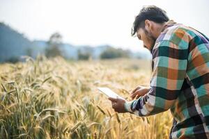 fazendeiro inteligente verificando fazenda de cevada com computador tablet foto