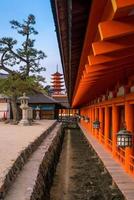 santuário de itsukushima em miyajima foto