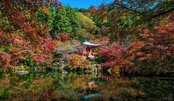 famoso templo daigoji com folhas de outono vermelhas em kyoto foto