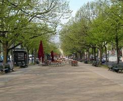 unter den linden, berlim foto