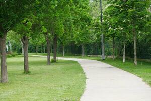 pov tiro do caminhando em passarela às Istambul parque às cedo manhã foto