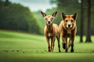 dois cachorros e uma veado caminhando juntos dentro a grama. gerado por IA foto