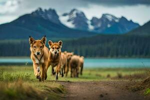 uma grupo do cachorros corrida em uma sujeira estrada. gerado por IA foto