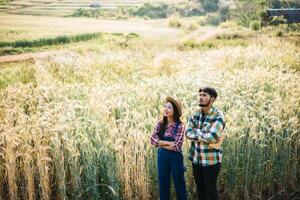 casal de fazendeiros olhando para um campo de cevada na temporada de colheita foto