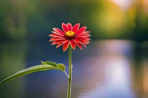 uma solteiro vermelho flor carrinhos dentro frente do uma lago. gerado por IA foto