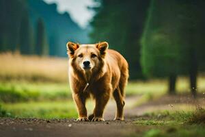 uma Castanho cachorro é caminhando em uma sujeira estrada. gerado por IA foto