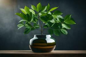 uma verde plantar dentro uma vaso em uma mesa. gerado por IA foto