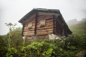 casa nas terras altas, nevoeiro e vegetação, rize - turquia