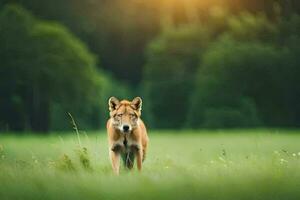uma solitário Lobo caminhando através uma campo. gerado por IA foto