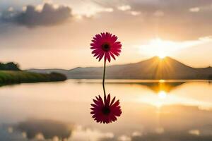 uma solteiro Rosa flor é refletido dentro a água às pôr do sol. gerado por IA foto