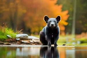uma Preto Urso em pé dentro a água perto uma floresta. gerado por IA foto