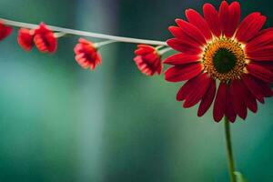 uma vermelho flor com amarelo centros é mostrando. gerado por IA foto