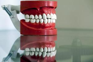 placa de dente de porcelana de zircônio foto