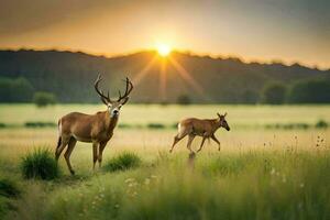 dois veado estão caminhando dentro uma campo às pôr do sol. gerado por IA foto