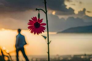 uma homem e uma flor às pôr do sol. gerado por IA foto