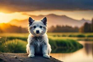 uma branco cachorro sentado em uma Rocha dentro frente do uma lago. gerado por IA foto