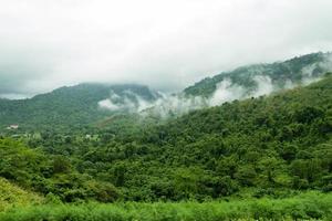 paisagem de montanha florestal com nevoeiro na zona rural da Tailândia foto