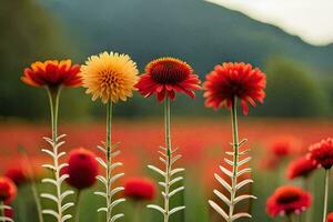 flores, vermelho, amarelo, campo, montanhas, flores, campo, flores, campo,. gerado por IA foto