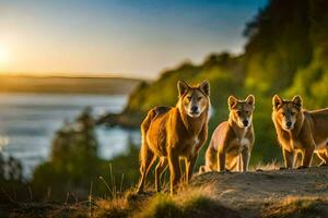 três cachorros ficar de pé em uma Colina negligenciar a oceano. gerado por IA foto