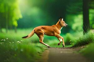 uma cachorro corrida em uma caminho dentro a madeiras. gerado por IA foto