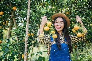 mulher colhendo uma plantação de laranja foto