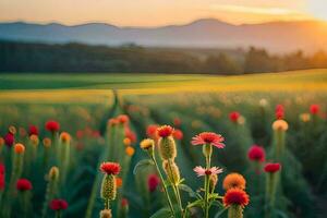 flores dentro uma campo às pôr do sol. gerado por IA foto