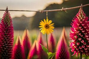 foto papel de parede a sol, flor, campo, campo, campo, campo, campo, campo,. gerado por IA