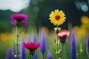 uma campo do colorida flores com uma amarelo flor dentro a meio. gerado por IA foto