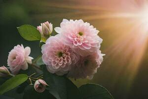 Rosa flores com Sol brilhando através a folhas. gerado por IA foto