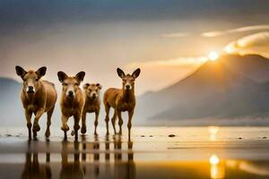 quatro veado caminhando ao longo a de praia às pôr do sol. gerado por IA foto