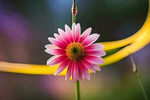 uma Rosa flor é em pé dentro frente do uma amarelo fundo. gerado por IA foto