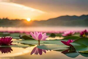 Rosa lótus flores dentro a água às pôr do sol. gerado por IA foto